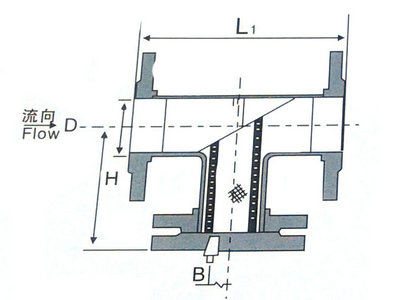 不銹鋼T型過濾器結(jié)構(gòu)圖